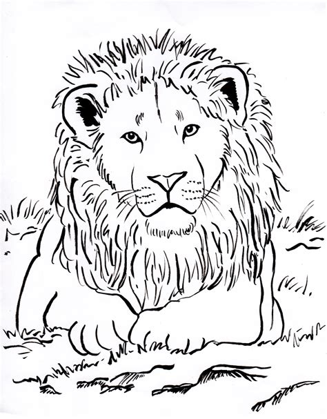 Printable Lion Coloring Pages